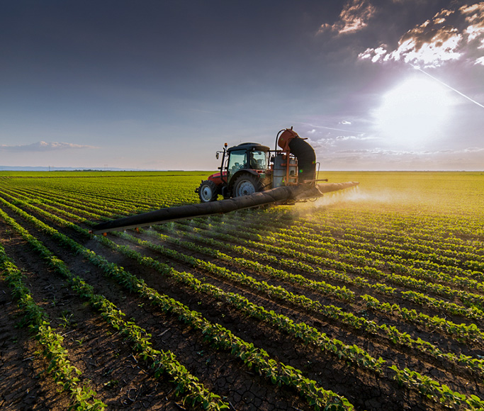 AGROINDUSTRIA